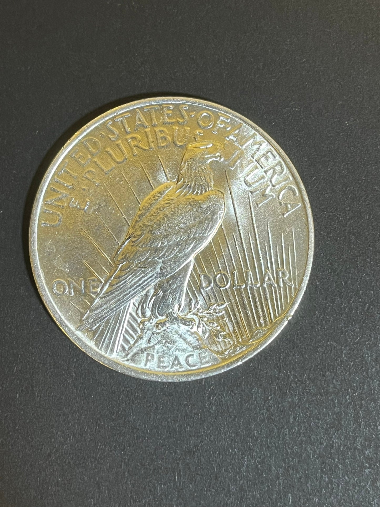 1922 Peace Silver Dollar - Appears Unc