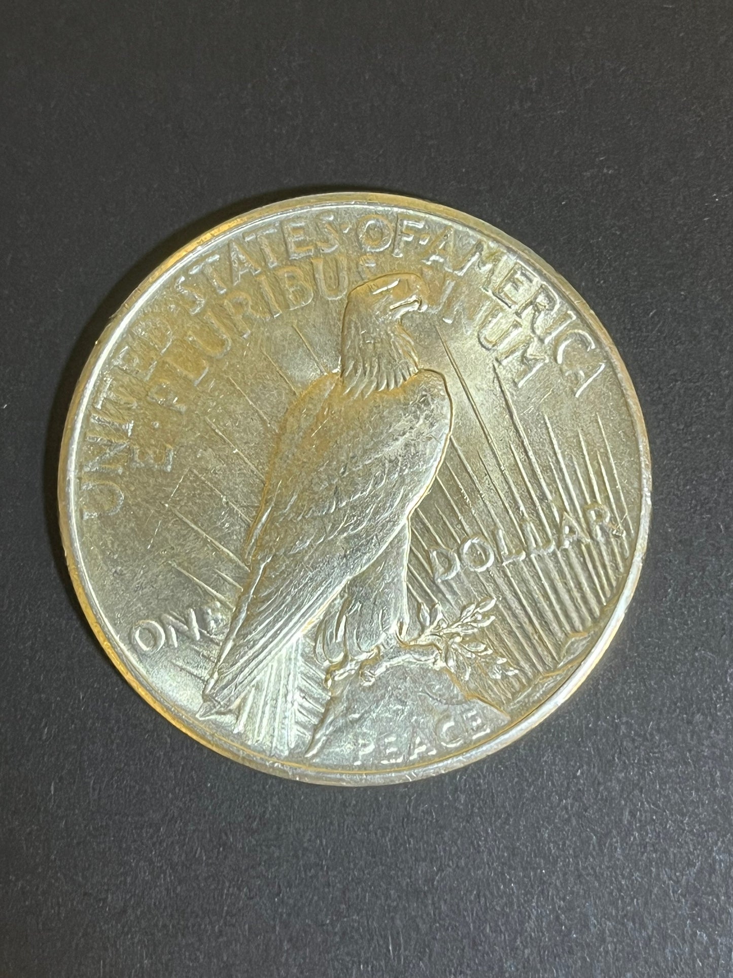 1925 Peace Silver Dollar - Appears Unc